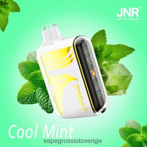 Vape Juice Wholesale - fräsch mint BXF6H0604 JNR CAPSULE