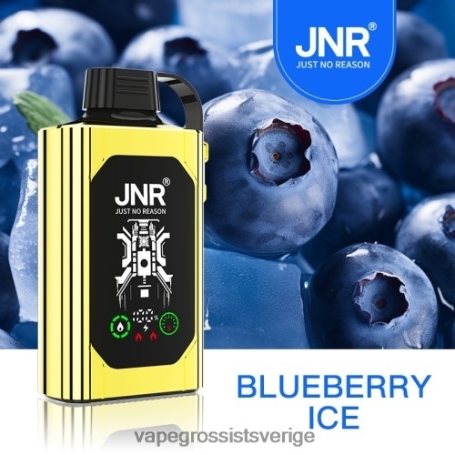 Hhc Vape Grossist - blåbärsis BXF6H0617 JNR SHISHA BOX