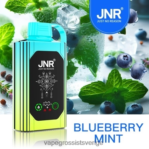 Vape Kit Wholesale - blåbärsmynta BXF6H0618 JNR SHISHA BOX