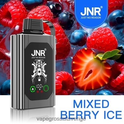 Vape Wholesale Stockholm - blandad bäris BXF6H0625 JNR SHISHA BOX