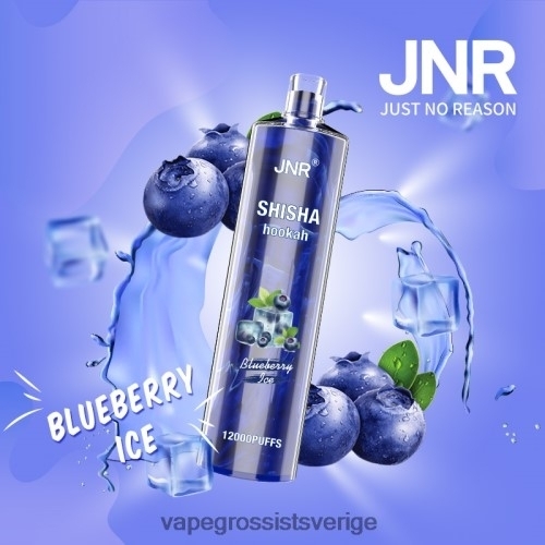 Vape Wholesale Sverige - blåbärsis BXF6H0671 JNR SHISHA