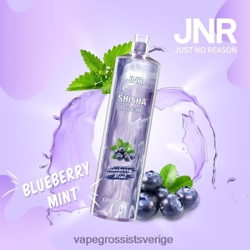 Vape Wholesale Sweden - blåbärsmynta BXF6H0672 JNR SHISHA