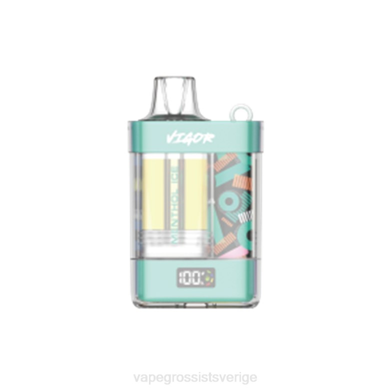 Vape Wholesale Sweden - LAVIE VIGOR 15 000 bloss 2ZZZ2 mentolis