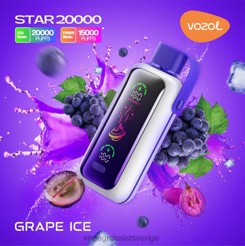 Vape Pod Wholesale - VOZOL STAR 20 000 ZJ64N9 druvis