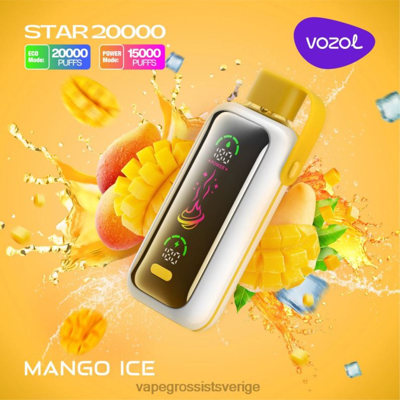 Vape Wholesale Reviews - VOZOL STAR 20 000 ZJ64N13 mango is